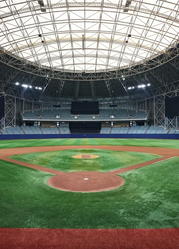 Gocheok Sky Dome